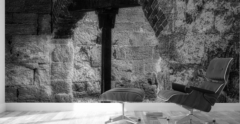 Archway Ruins: Bulow Plantation Wall Murals