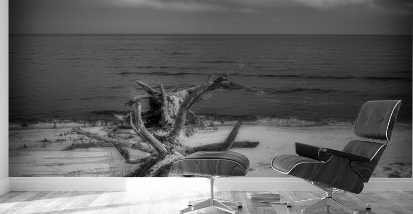 Driftwood Dreams: Bald Point State Park Wall Murals