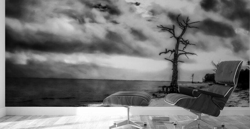 Ghosts of the Shoreline: Dead Tree Footprints Wall Murals