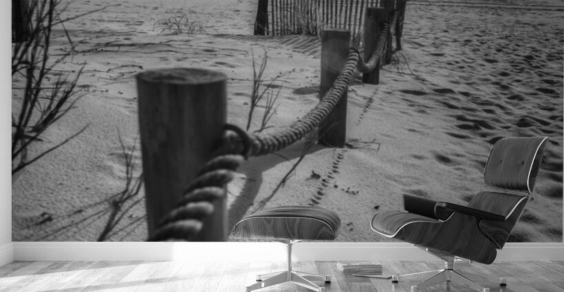 Gulf Coast Barrier Wall Murals