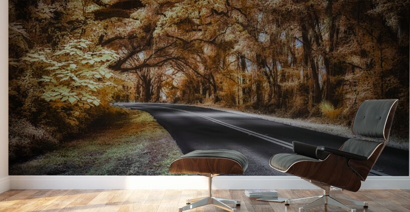 Ocala Secret: Infrared Curve Wall Murals