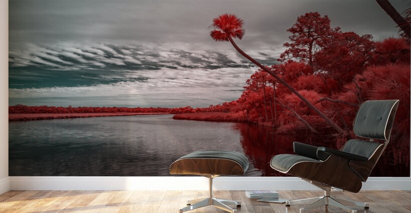 Exploring Bulow Plantation: A Romantic Stroll Reveals a Crimson-Hued Palm Oasis Wall Murals