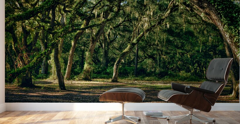 Oak Arches Wall Murals