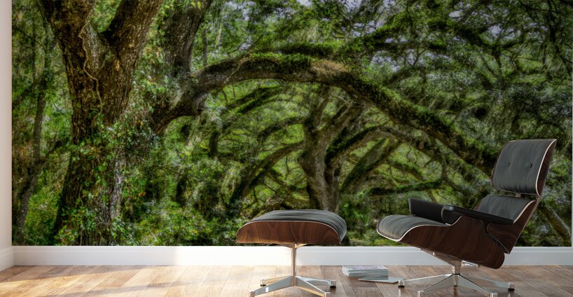 Peaceful Trail Wall Murals