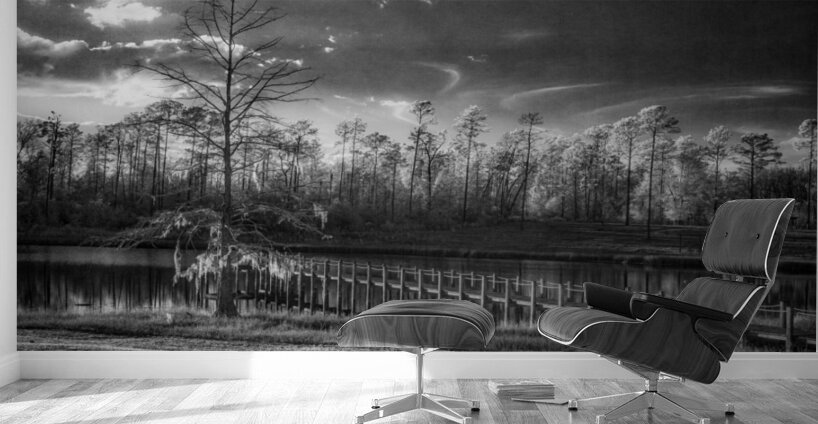 Gloomy Dock Wall Murals