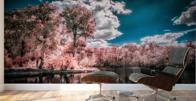 Fantastical Foliage: Silver Springs State Park Wall Murals