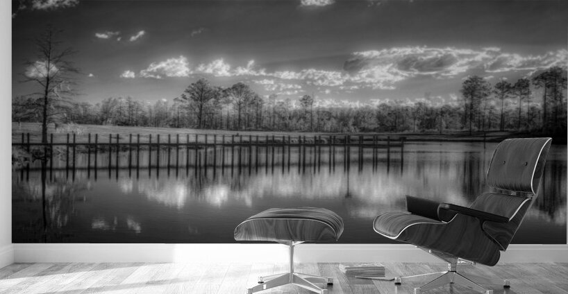 Tranquil Reflection: Florida Dead Lakes Wall Murals