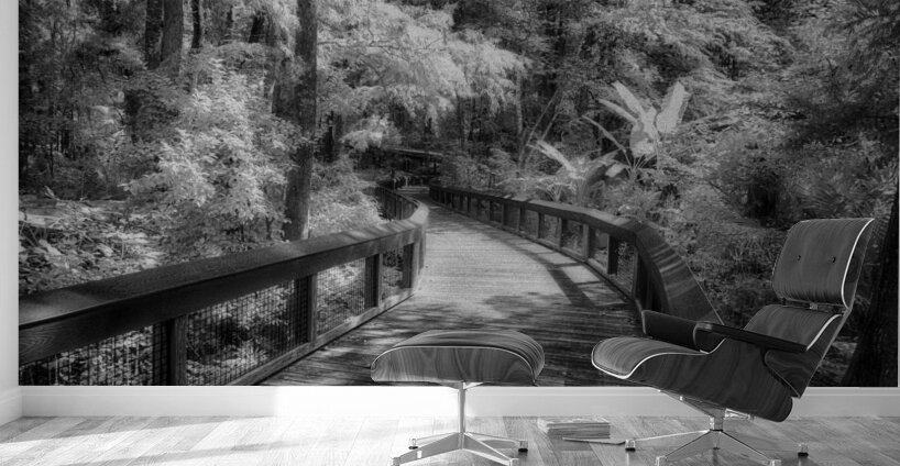 Infrared Boardwalk Bend Wall Murals
