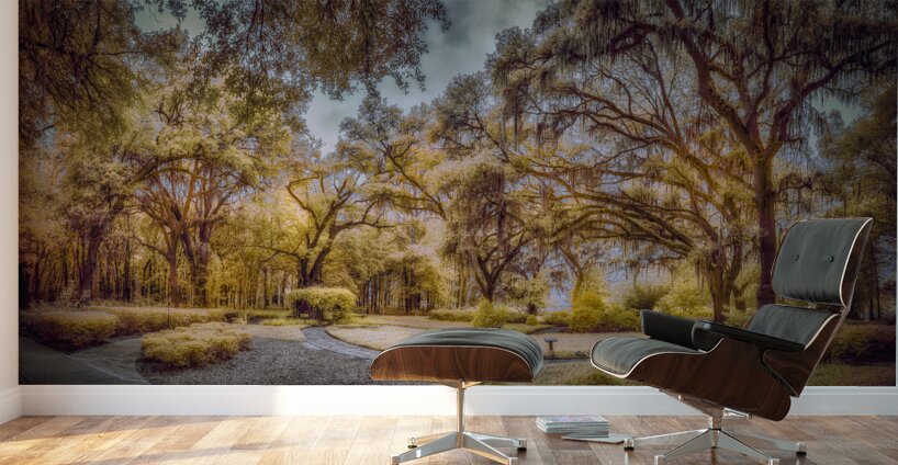 Mustard Labyrinth Wall Murals