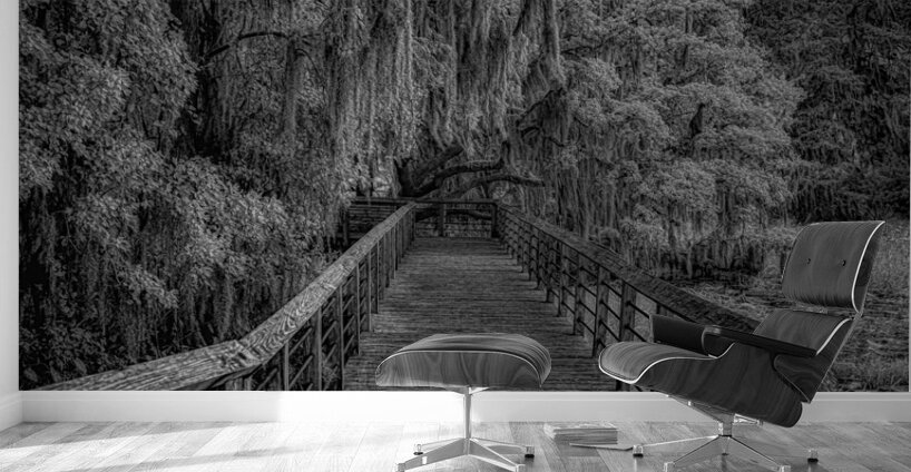 Inverness Boardwalk -2 Wall Murals