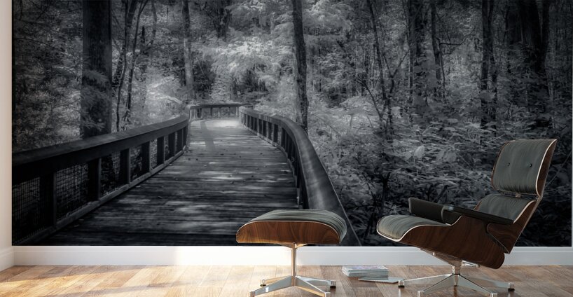 Silver Boardwalk Wall Murals