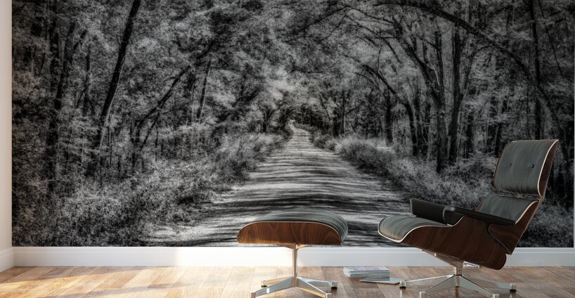 Florida Dirt Road Wall Murals