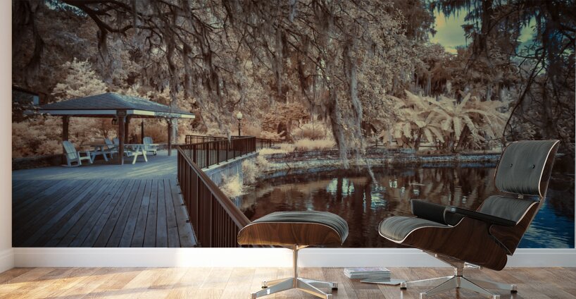 IR Boardwalk Wall Murals