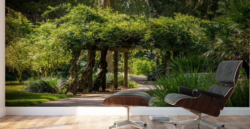 Rainbow Springs Path Wall Murals