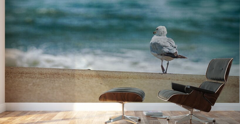A Walk on the Beach: Capturing Serenity with a Seagull on Virginia Beach Wall Murals