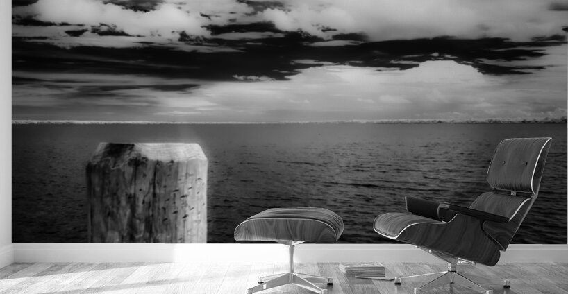 Essence of Stillness Wall Murals