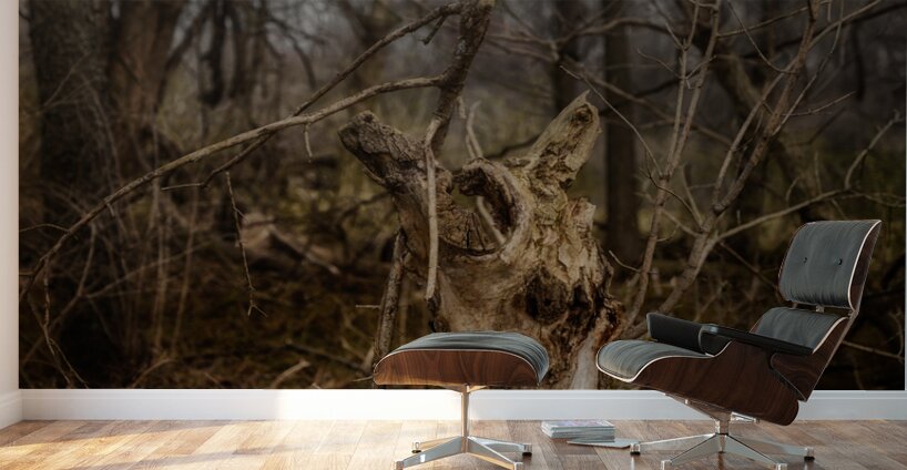 Natures Twisted Remnant Wall Murals