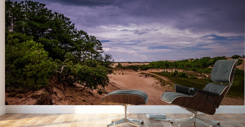 Jockey Ridge State Park Wall Murals