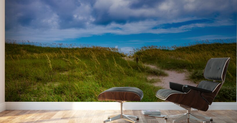 Pathway to Summer Skies Wall Murals