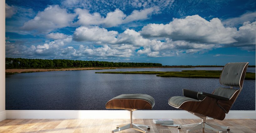 Marshland Tranquility: A Glimpse into Bodie Islands Outer Banks Beauty Wall Murals