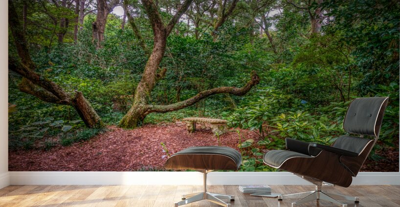 Serene Seat Wall Murals