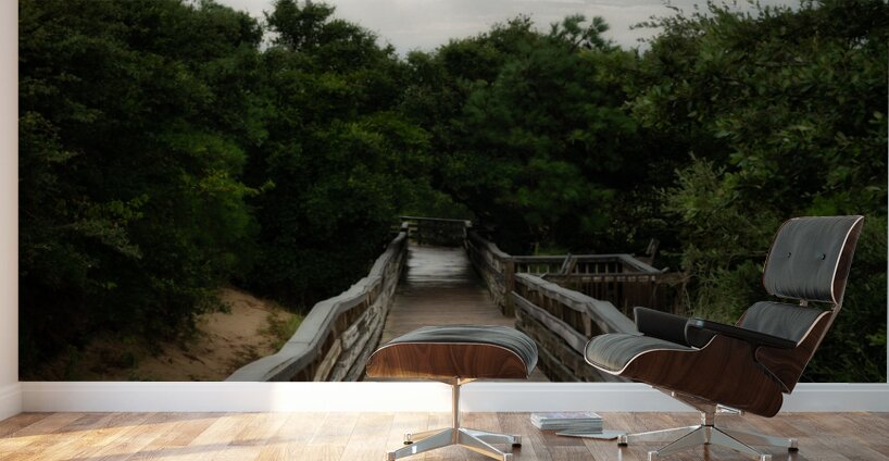 Jockey Ridge Walkway Wall Murals