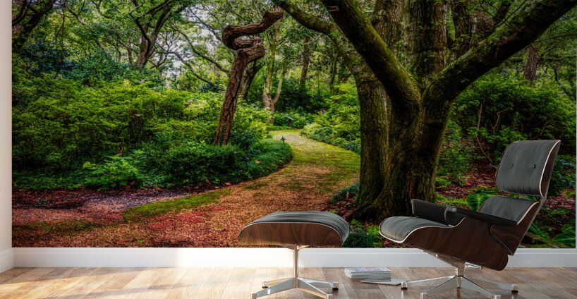 Exploring the Enchantment: A Journey through Elizabethan Gardens in Manteo North Carolina Wall Murals