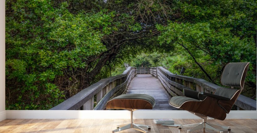 Jockey Boardwalk Wall Murals