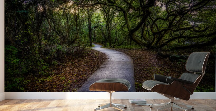 Labyrinth Wall Murals