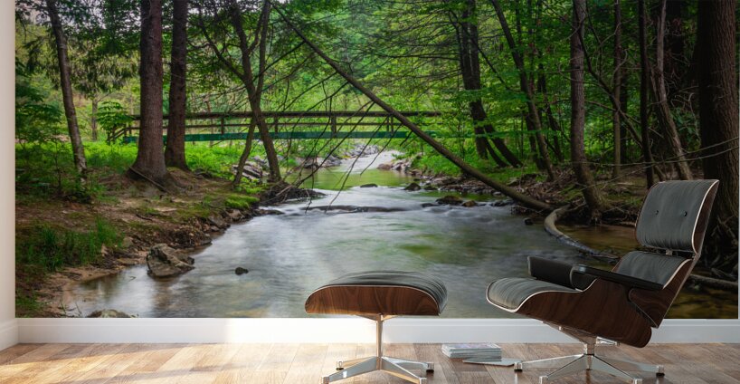 Woodland Bridge Reflections Wall Murals