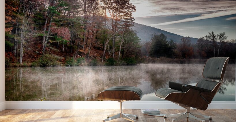 Morning Light Wall Murals