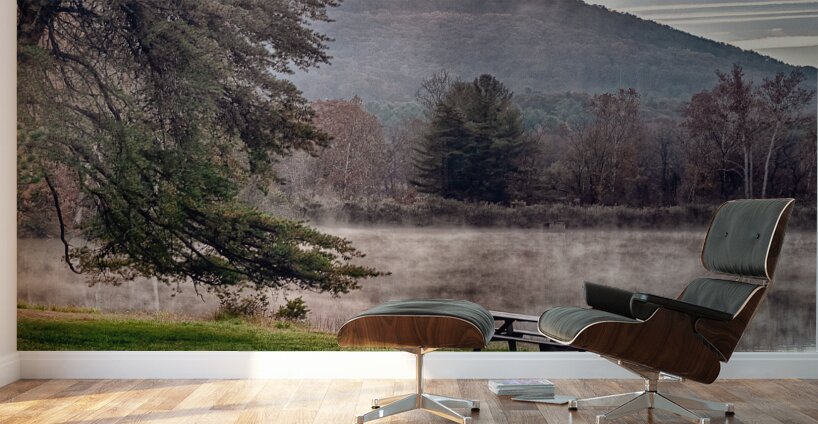 Morning witness Wall Murals