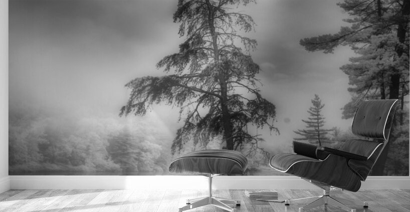 Lighted PA Pine Wall Murals