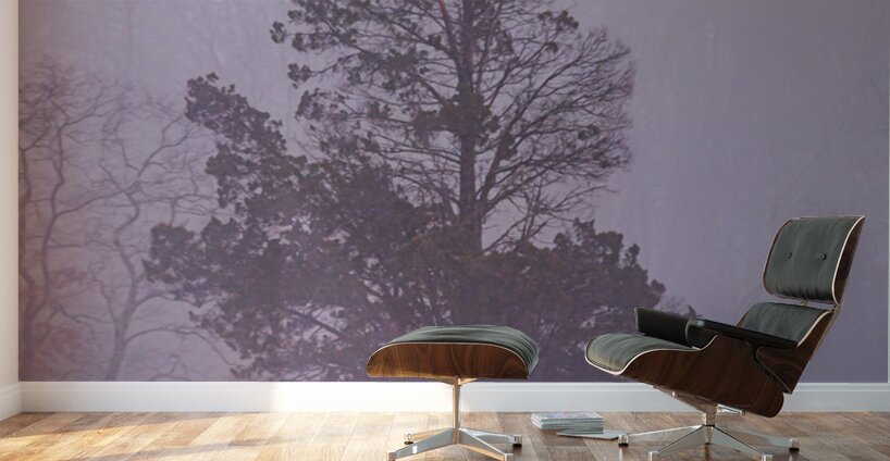 Winter Tranquility: Lone Withdrawn Tree in Gettysburg Wall Murals