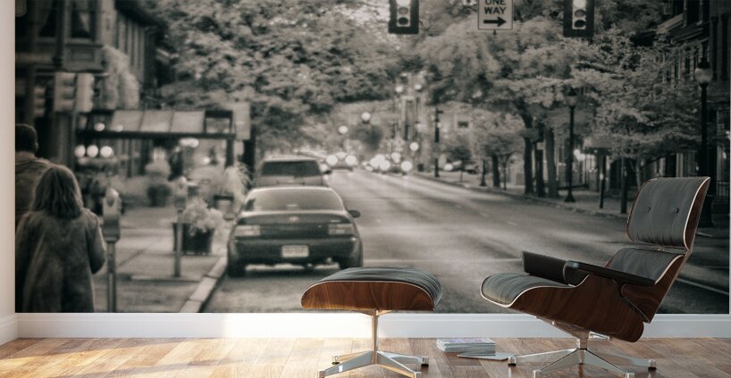 Urban Pause: Capturing the Vibrancy of Yorks Red Light Moments Wall Murals