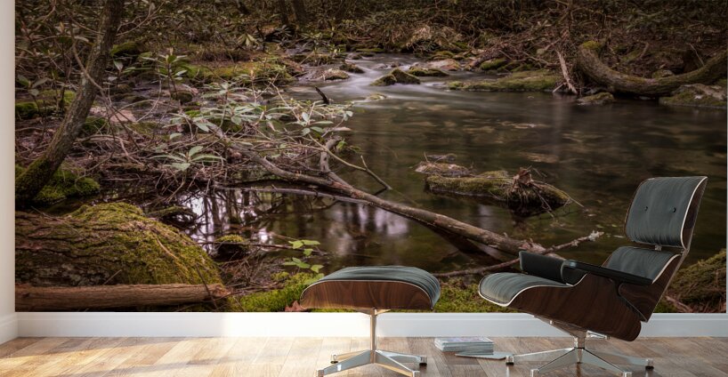 Natures Gentle Arc Wall Murals