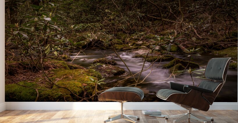 Whispers of the Creek Wall Murals