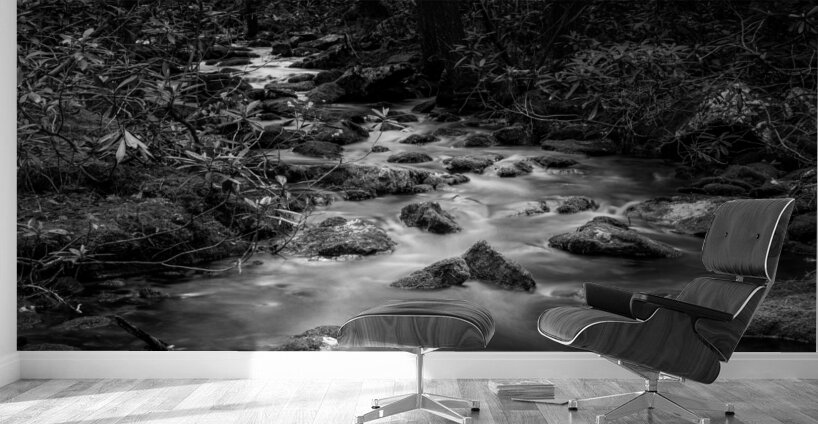 Mountain Streams Melody Wall Murals