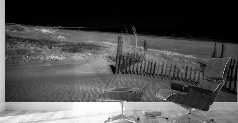 Fence Watching the Ocean Wall Murals