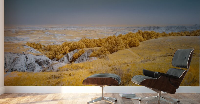 Golden Overview Wall Murals