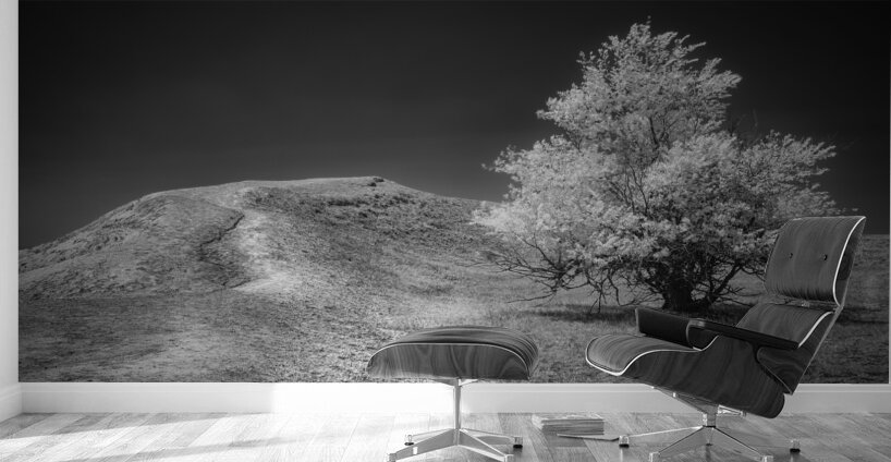 Silent Beauty: Navigating the Badlands with My Companions Wall Murals