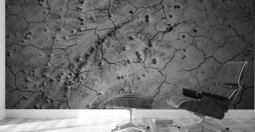 Deserted Elegance: Unearthing Natural Patterns in the Badlands Wall Murals