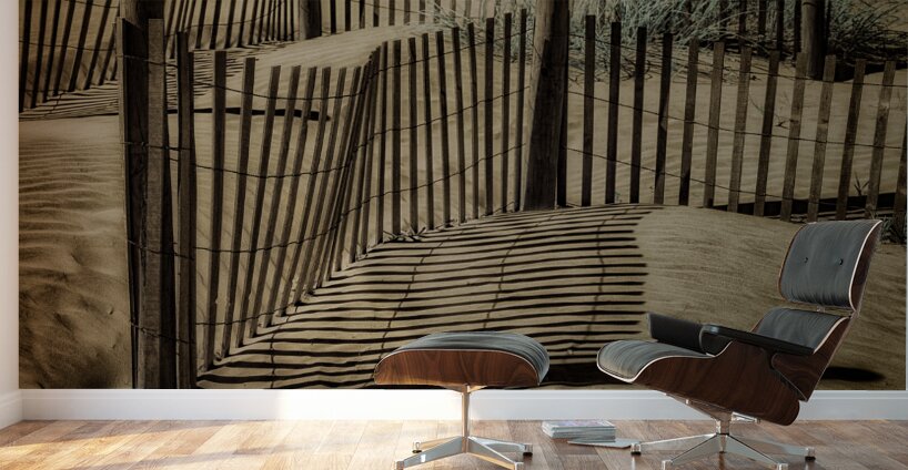 Coastal Rhythms Wall Murals