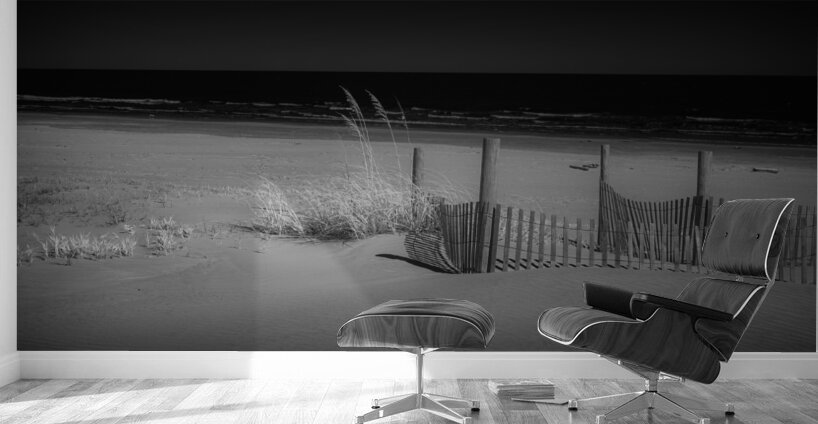 Gaurded Calm Wall Murals