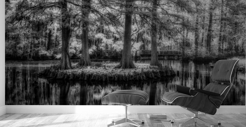 Four Bald Island Wall Murals