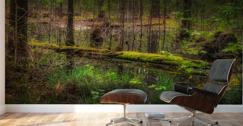 Mossy Log Wall Murals