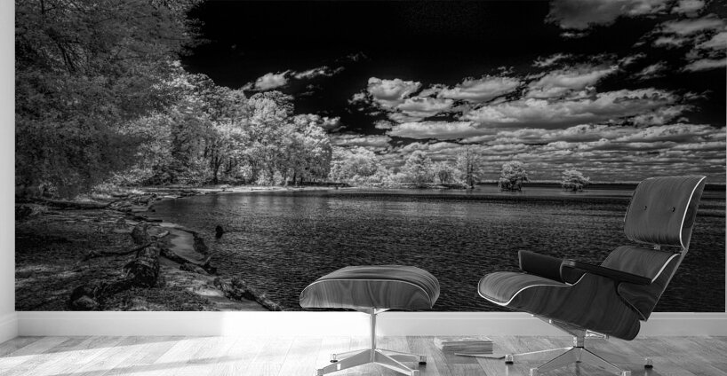 Mystical Waters: Stark Cove in Santee Wall Murals