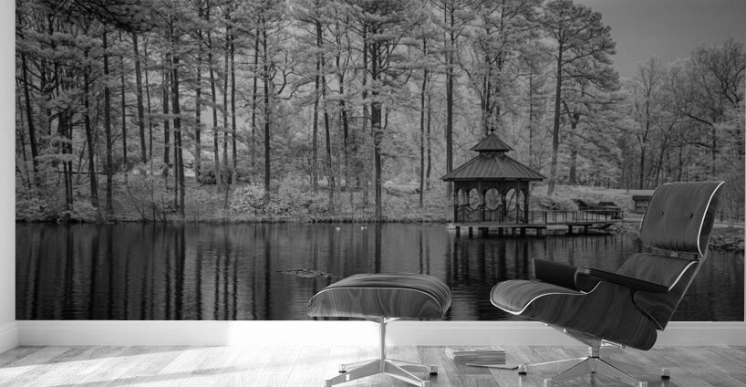 Infrared pond Gazebo Wall Murals