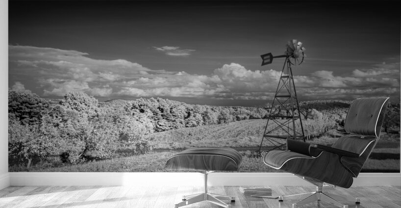 Romantic Getaway: Exploring A Peaks of Otter Winery  Wall Murals