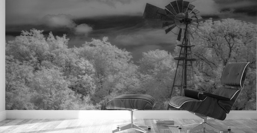 Sentinel of Prairie Dreams Wall Murals